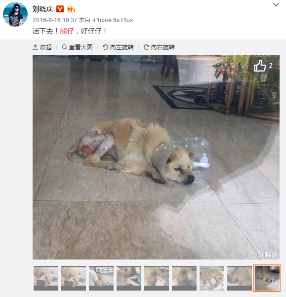 银行卡生来就具藏品基因-棋牌赛事(图2) 华体会