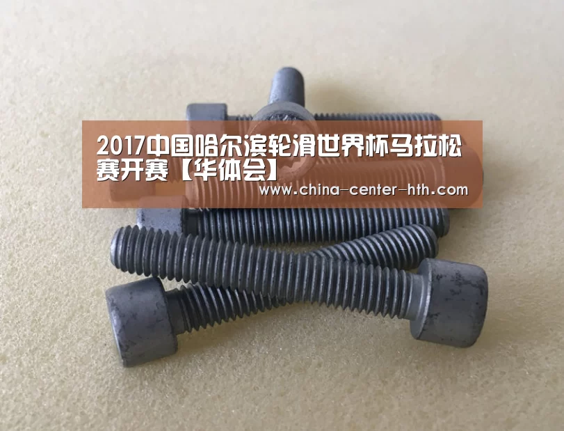 2017中国哈尔滨轮滑世界杯马拉松赛开赛【华体会】(图2) 华体会